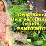grow your own vegetables - gardening - vegetable patch - urban garden - grow your own food - sunblock - homecooking ingredients - vegetable patch - marie verde