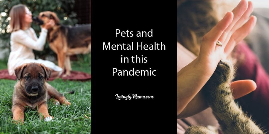 Pets are Good for Our Mental Health - pets and mental health -family and home - mental health in the pandemic