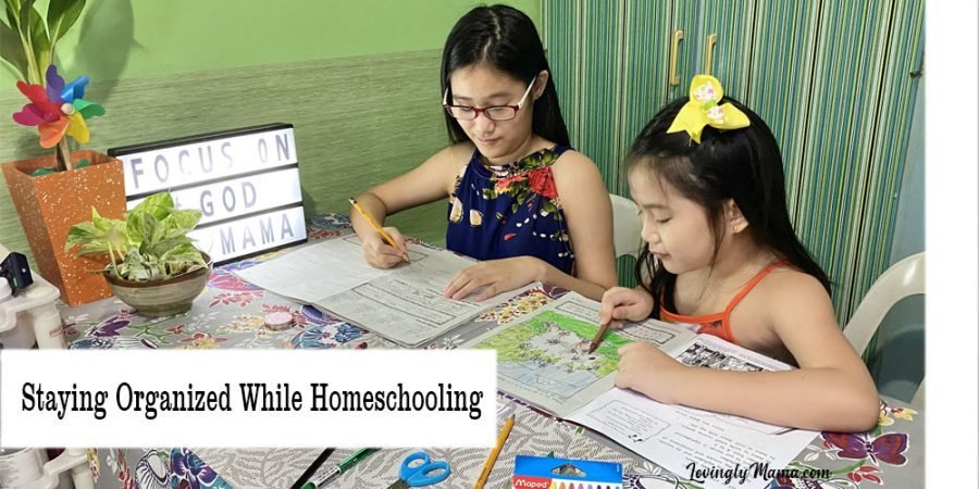 homeschooling family - tips for staying organized while homeschooling - downloadables - printables - free downloads - home educators planner - PACES
