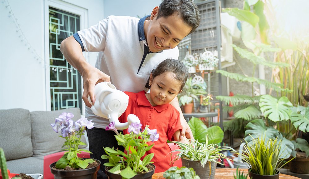 Garden Soil Ace Hardware Philippines Fasci Garden