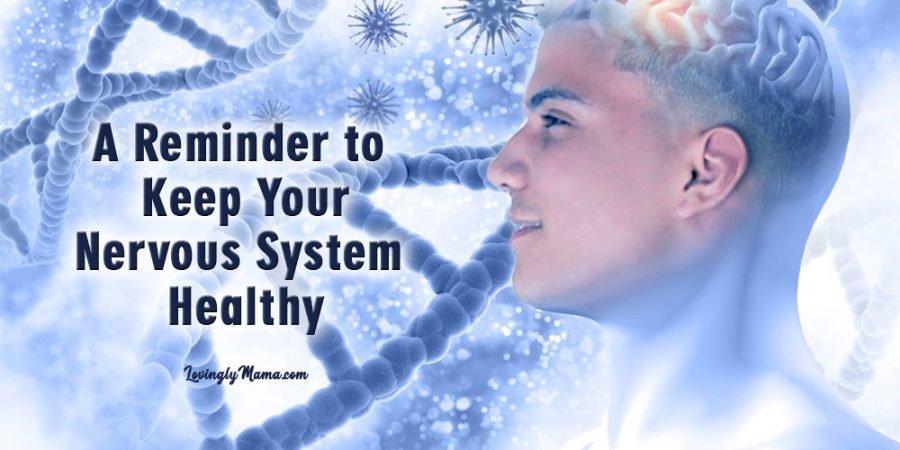 Vitamin B Complex - nerve health - nervous system - numbness - pain - nerves - brain - BeNerv-B