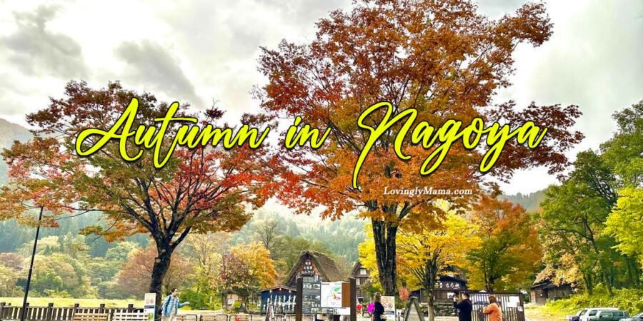 autumn in nagoya - Nagoya Japan - maple leaves changing color - Sun Life Philippines Macaulay Club incentive trip - Shirakawa-go - Shirakawa-go parking