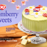 DQ Bloomberry Sweets Banner